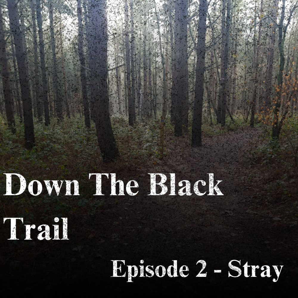 Down The Black Trail - 2. Stray Logo