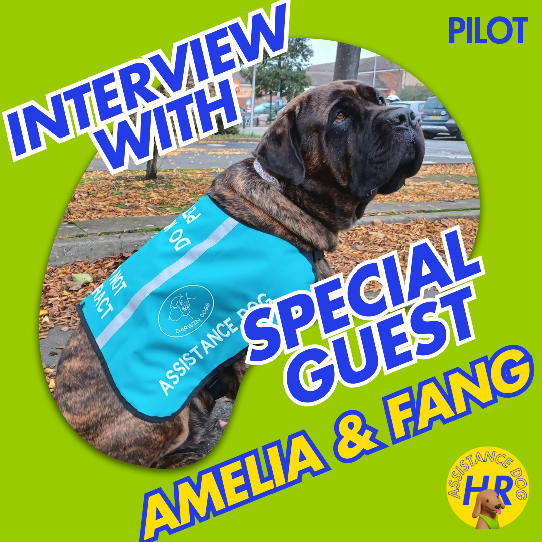 The Assistance Dog Hour: The Half-Past Howl : Amelia & Fang Logo