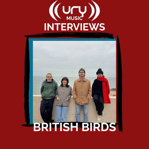 British Birds Interview Logo