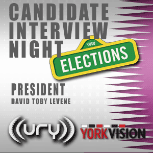 Candidate Interview - David Levene Logo