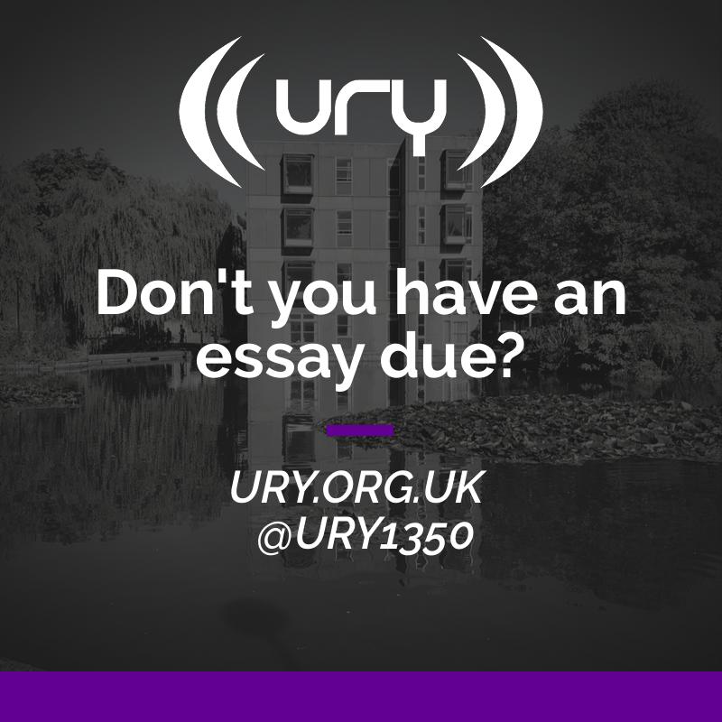 Don't you have an essay due? logo.