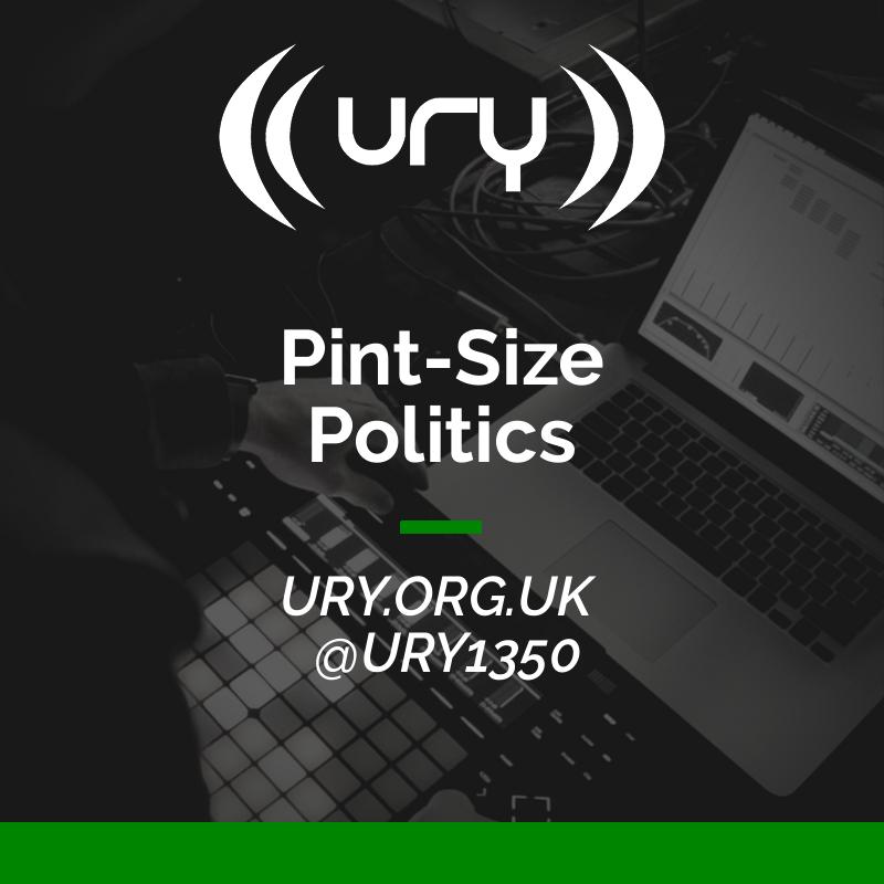 Pint-Size Politics  logo.