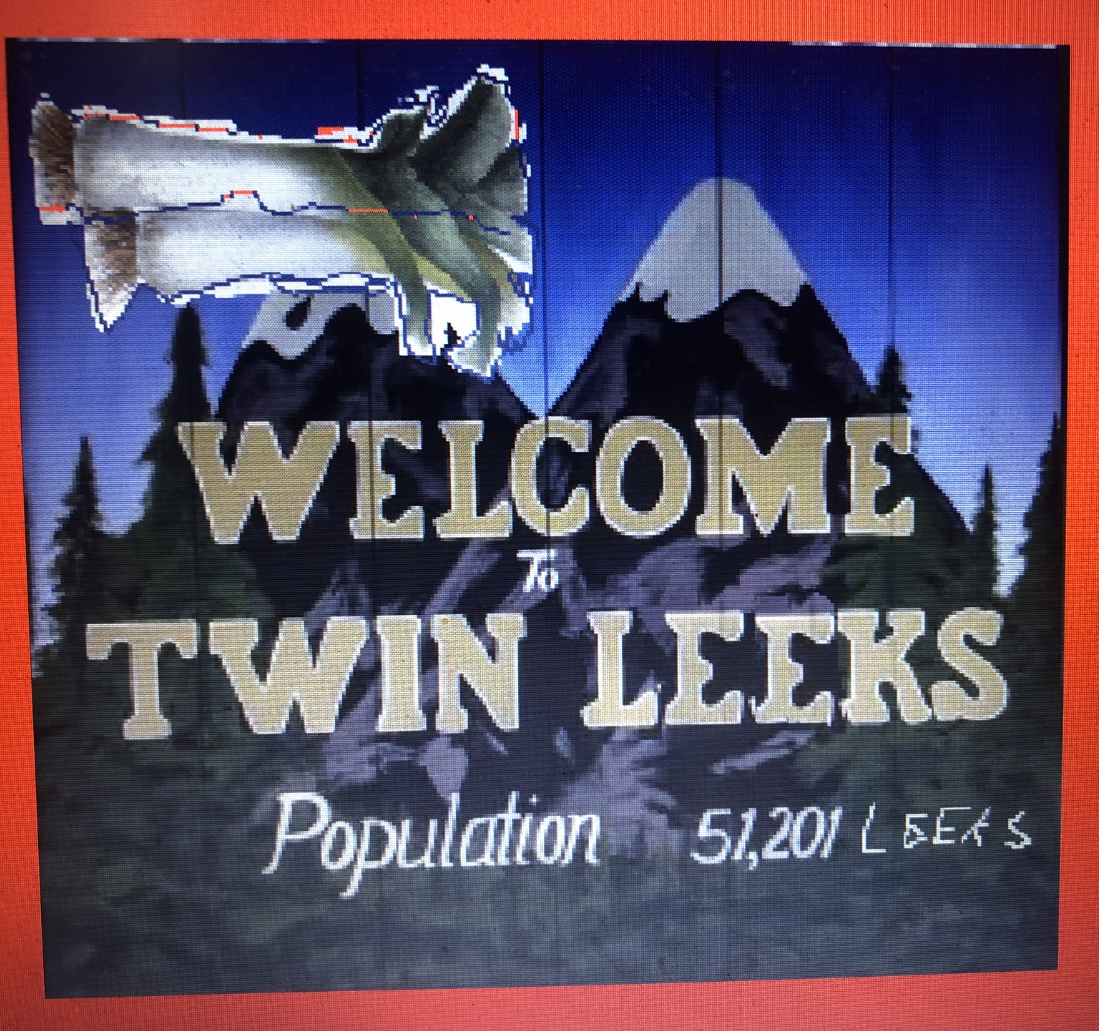 Twin Leeks Radio Logo