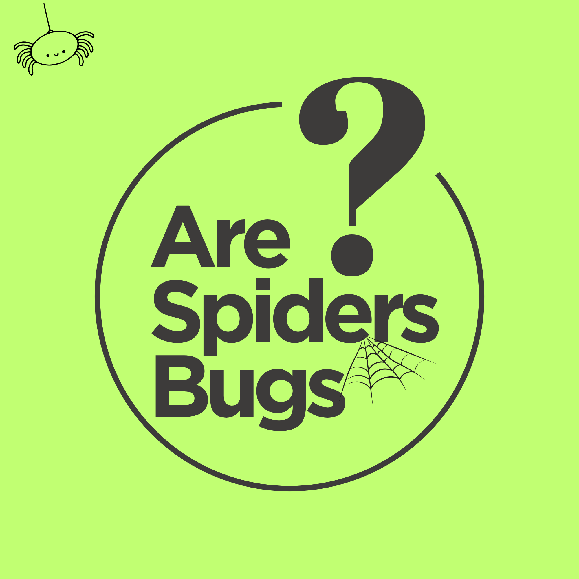 Are Spiders Bugs? Logo