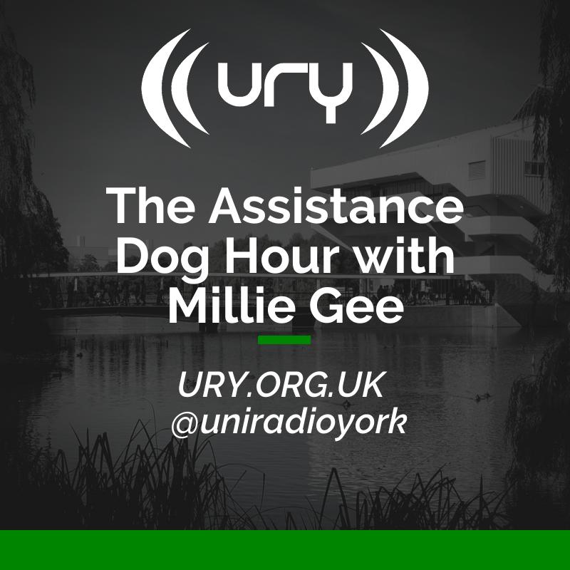 The Assistance Dog Hour with Millie Gee Logo