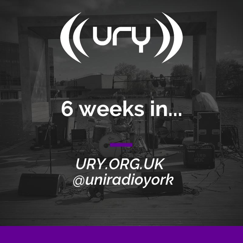 6 weeks in... Logo
