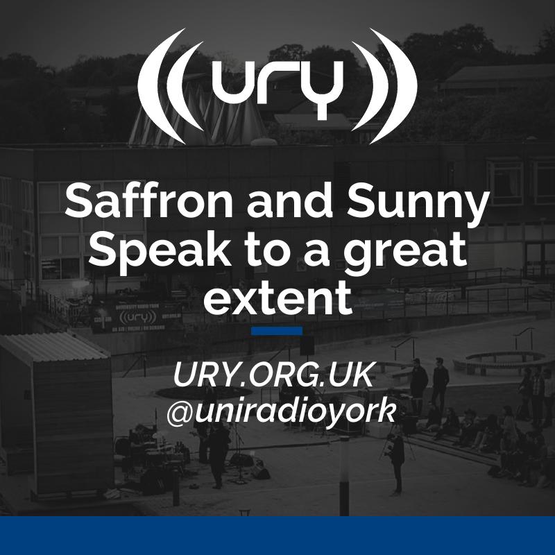 Saffron and Sunny speak to a great extent  logo.