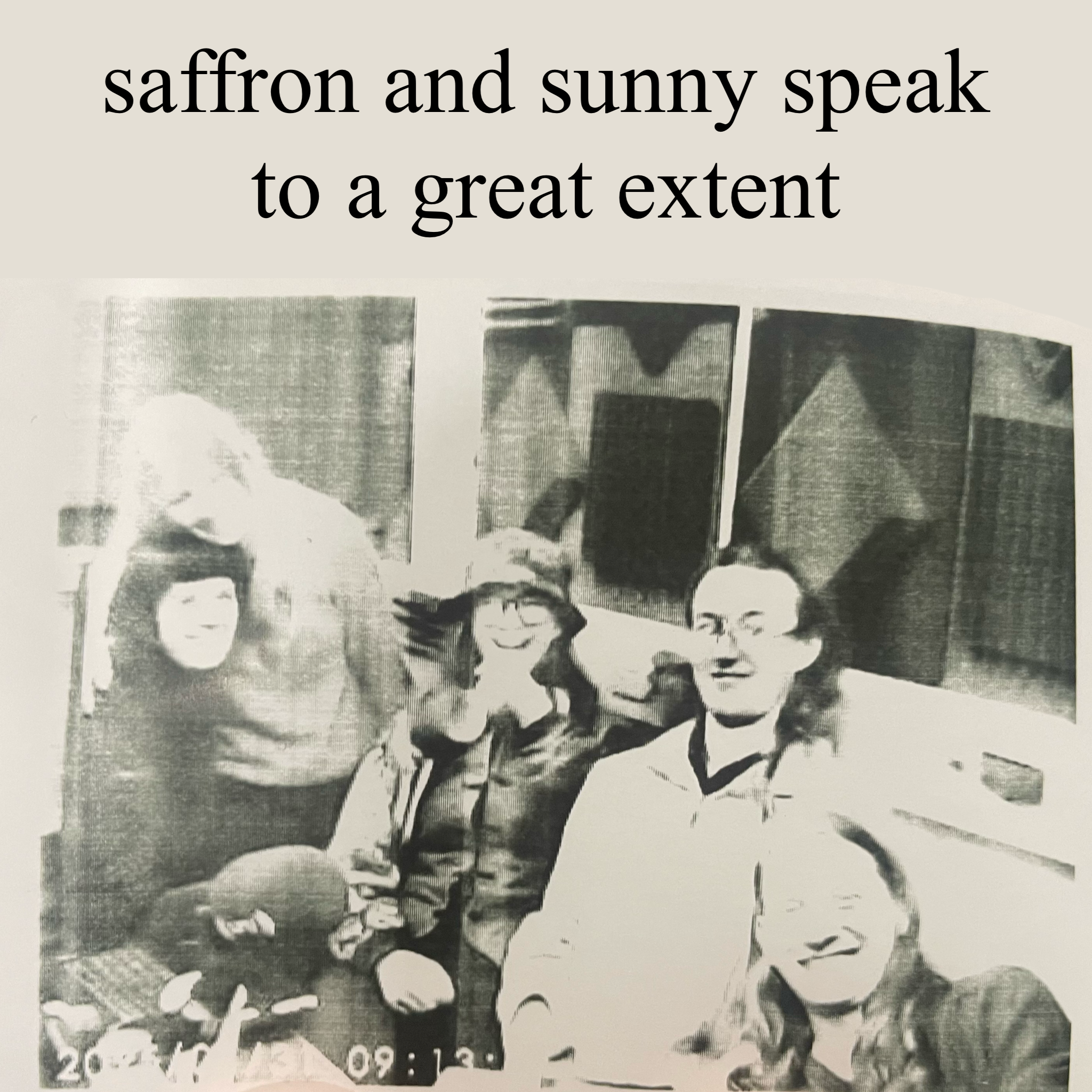 Saffron and Sunny speak to a great extent  Logo