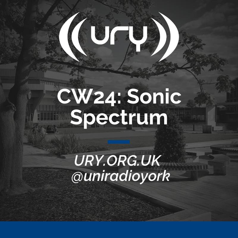 CW24: Sonic Spectrum logo.