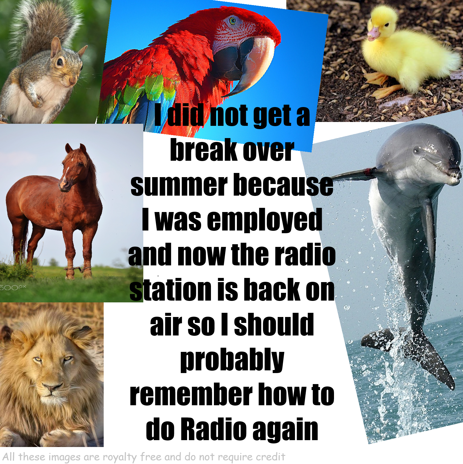 I did not get a break over summer because I was employed and now the radio station is back on air so I should probably remember how to do Radio again Logo